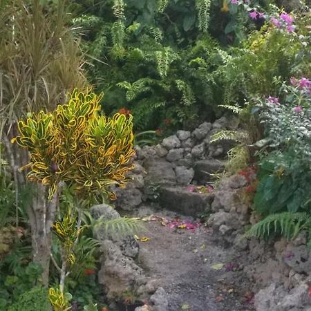 Appartamento Chez Annick Et Jacques Garnier Esterno foto